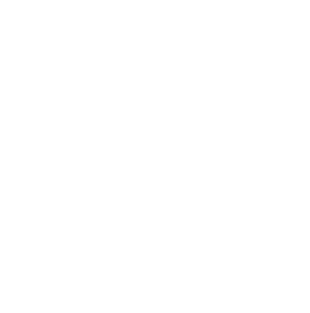 Government