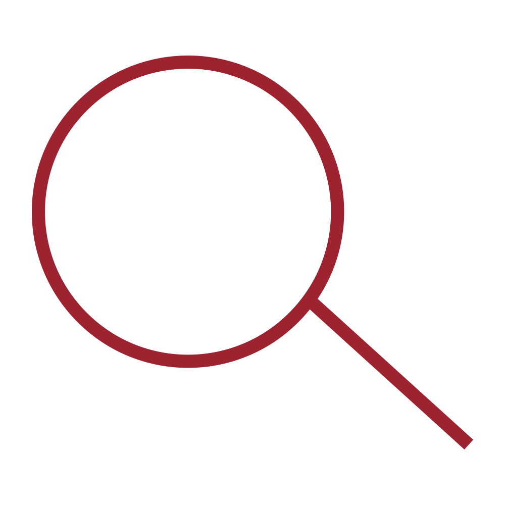 Red Magnifying Glass Icon